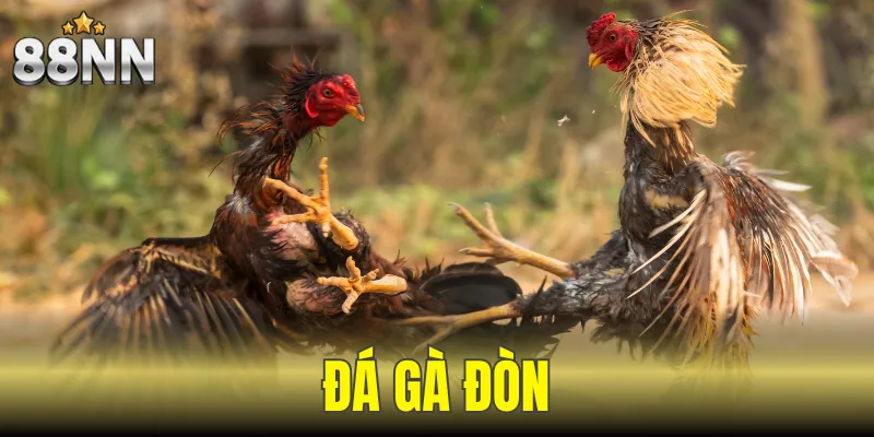 đá gà đòn