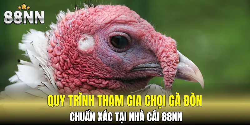Quá trình phân chia hạng gà được kiểm tra nghiêm ngặt